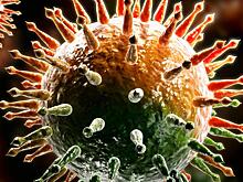 2776 - «активность» COVID-19 в Хабаровском крае идет на спад