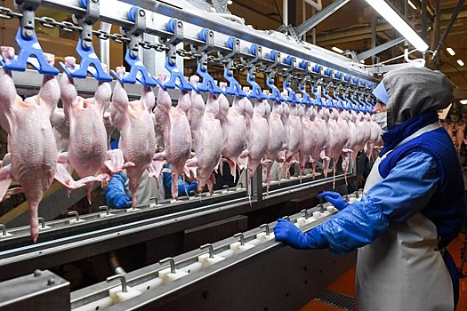 Ставрополье экспортировало 100 тонн мяса птицы в Республику Конго