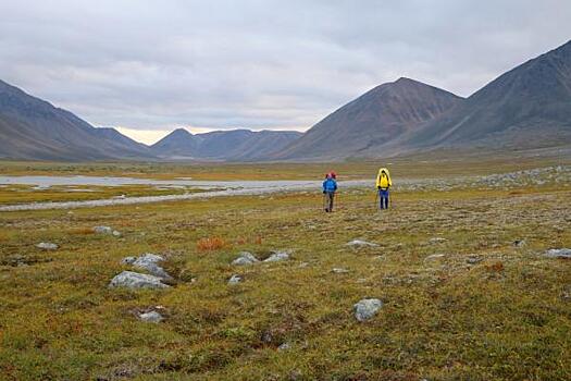 Cлабые места. Какие трудности подстерегают казахстанский проект в Арктике
