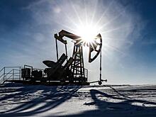 Эксперт предложил отказаться от термина «нефтяная игла»