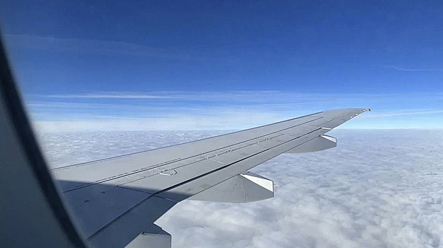 Доктор Мясников дал рекомендации по защите от недомогания и обострений во время перелетов