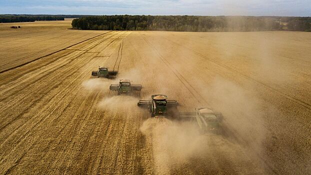 В Турции прокомментировали приостановку участия РФ в зерновой сделке