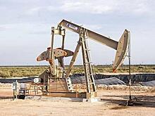 «Новая газета» попыталась дискредитировать российский бизнес за инвестиции в экономику Сирии