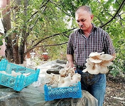 Глава донского муниципалитета рассказал о своем необычном хобби