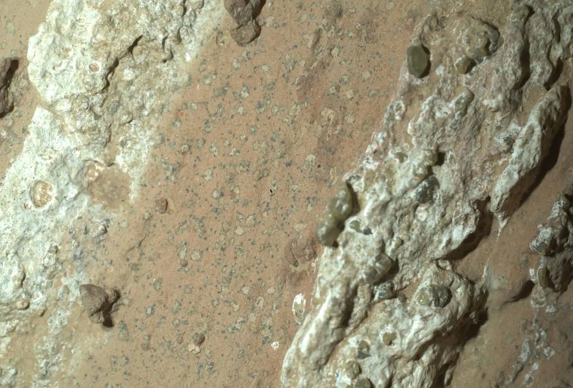 НАСА обнаружило признаки жизни на Марсе