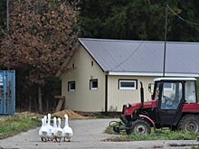 Фермер из Пушкино повысит производительность своего животноводческого предприятия
