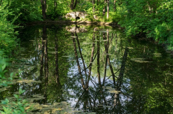 На большей части Омской области отменили особый противопожарный режим