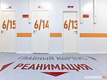 Еще 3 тыс. 986 пациентов вылечились от коронавируса в Москве