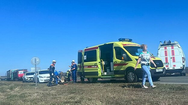 В жесткой аварии под селом Грабово пострадали пятеро