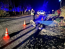 Водитель на Урале насмерть сбил велосипедиста и скрылся