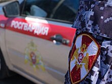 Росгвардия на Ставрополье потратит свыше 68 млн на ремонт Lexus и других иномарок