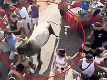 Сбежавший бык устроил хаос на карнавале в Бразилии: видео