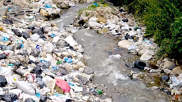 «Запрет пластика может принести больше вреда, чем пользы». Ученые рассказали, как помочь окружающей среде