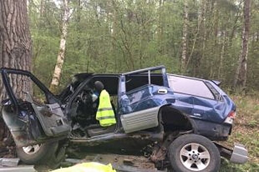 Водитель внедорожника погиб при столкновении с деревом под Светлым