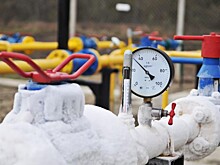 "Мы сожжем всё": страна ЕС о жизни без российского газа