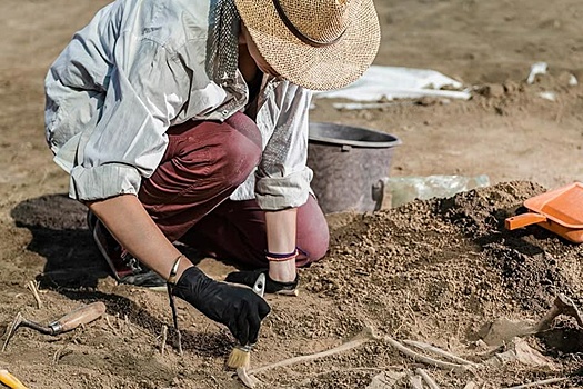 Римляне оставили тайный лагерь в лесах Нидерландов на территории варвар
