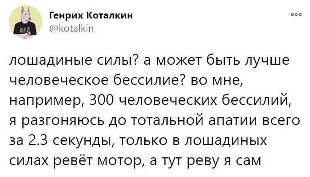 Многие шутят о том, что уровень бессилия и безысходности сейчас особенно высок.