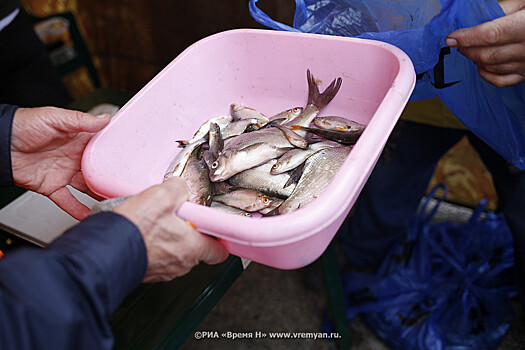 Жители улицы Страж Революции борются с предпринимателем-рыбоводом