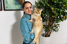 В День кошек в Новороссийске рассказали о ввезенных товарах для животных