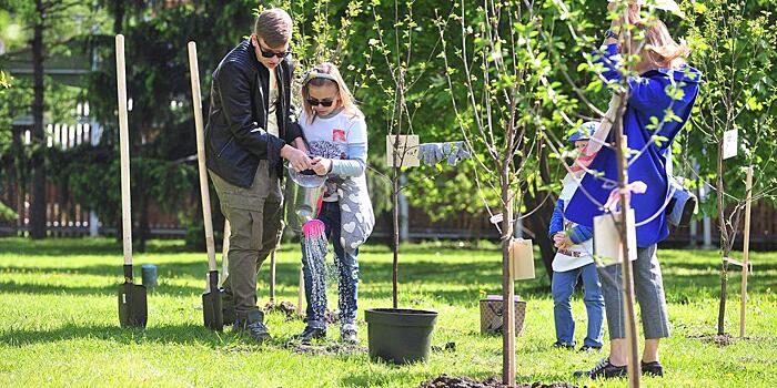 В Восточном округе высадят около 300 именных деревьев в честь новорожденных москвичей