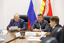 Воронежские депутаты обсудили промежуточные итоги реализации нацпроектов в сфере ЖКХ