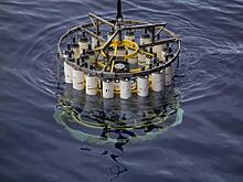 Бактериям в сумеречной зоне океана не хватает железа