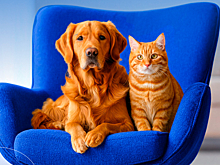 СОГАЗ и фонд «Добро Вместе» создали новую благотворительную инициативу