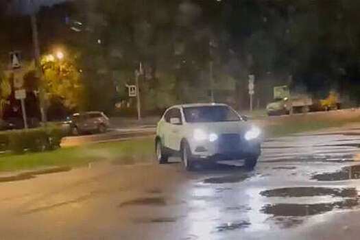 В Петербурге водитель каршеринга пытался украсть собаку и наехать на ее владельца