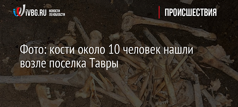 Фото: кости около 10 человек нашли возле поселка Тавры
