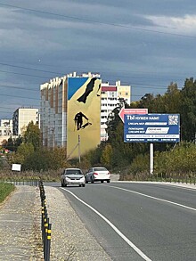 Жители Миасса выбрали картину Федора Конюхова, которая станет муралом