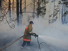 Die Tageszeitung (Германия): цезий-137 летит на Киев