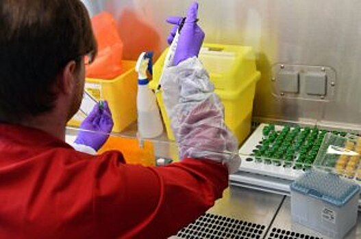Ученые призвали не сравнивать сезонный грипп и новый коронавирус
