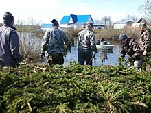 С начала нереста пресечено более 350 фактов незаконной добычи рыбы и возбуждено 33 уголовных дела