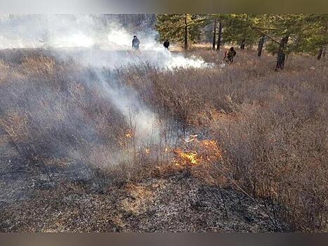 В Забайкалье двое детей устроили ландшафтный пожар на площади 1 200 кв. м
