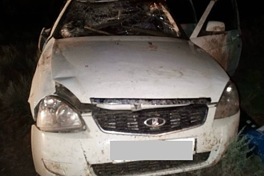 В Волгоградской области задержали предполагаемого виновника смертельного ДТП