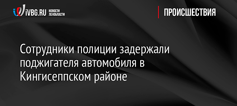 Сотрудники полиции задержали поджигателя автомобиля в Кингисеппском районе