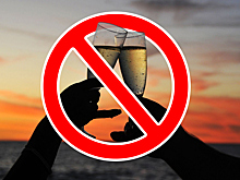 Власти Гоа ужесточают запреты на алкоголь