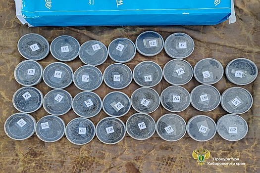 В Хабаровске под суд пойдут участники ОПГ за оборот трех тонн черной икры