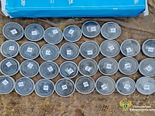 В Хабаровске под суд пойдут участники ОПГ за оборот трех тонн черной икры