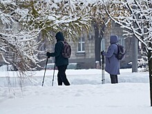 Как не допустить дефицита витамина D и магния в холодный период