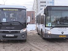 Непосредственное общение с жителями. Новые автобусные маршруты составят с учетом пожеланий пассажиров в Дубне