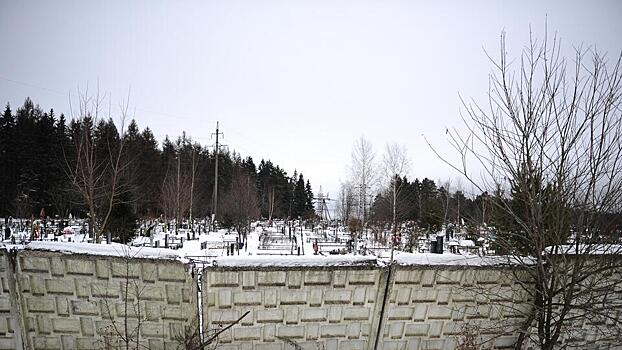 Тело женщины найдено в лесопарке у кладбища в Москве