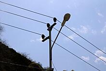Развитие перевала Дятлова обойдется в десятки миллионов: «Нужно электричество»