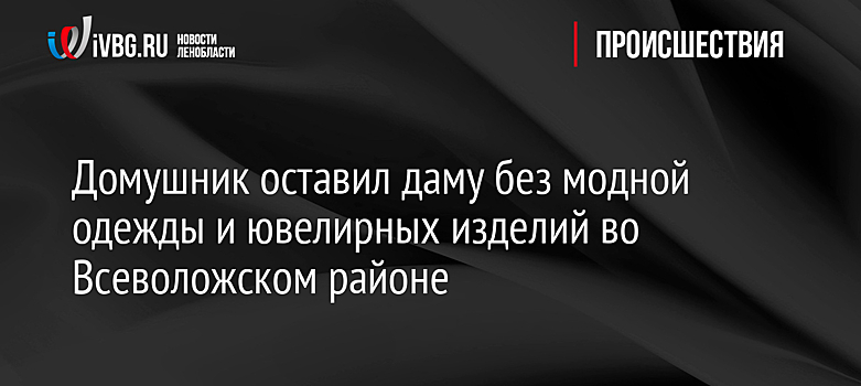 Домушник оставил даму без модной одежды и ювелирных изделий во Всеволожском районе