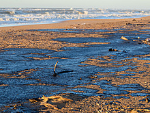 В Роспотребнадзоре исследовали 24 пробы морской воды в зонах ЧП на Кубани