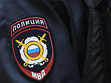 МВД проверяет данные об избиении медиками женщины в Петербурге