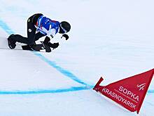 Российский сноубордист оценил свои достижения в качестве депутата