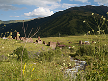 Северная Осетия и Курчатовский институт займутся исследованием генофонда природных ресурсов