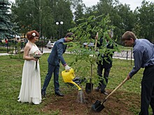 Нижегородцы примут участие в уходе за деревьями в парке Кулибина