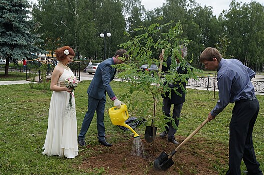 Нижегородцы примут участие в уходе за деревьями в парке Кулибина